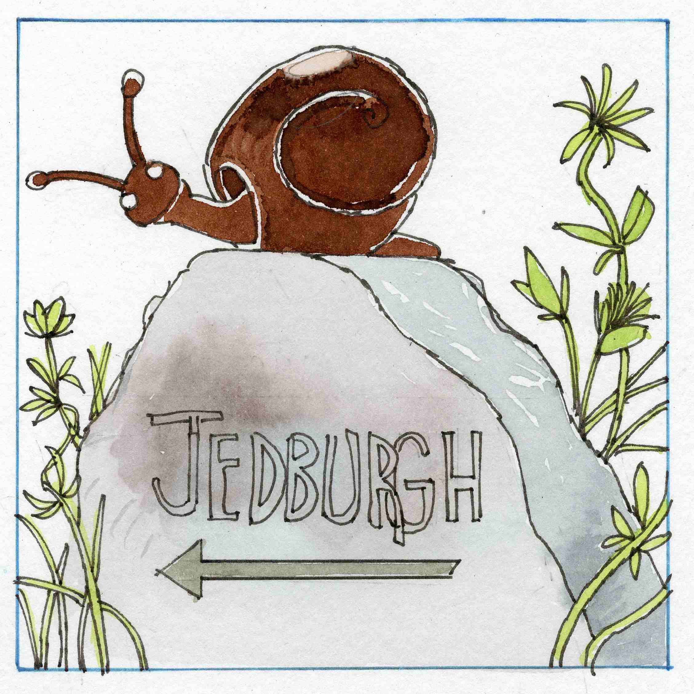 A kind of toffee from Jedburgh.